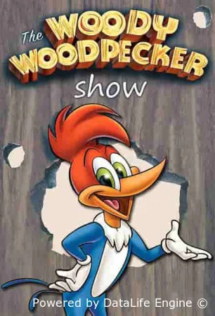 Приключения Вуди и его друзей